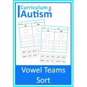 Vowel Teams Phonics Word Sort